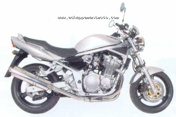 SUZUKI GSF 600 Bandit Scorpion