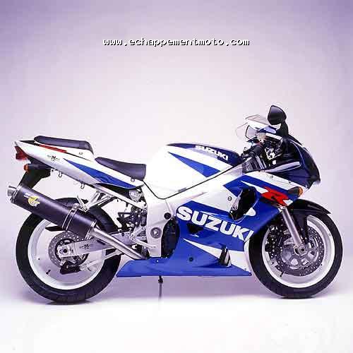 SUZUKI GSX-R 1000 2001